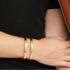 Picture of Brighton Meridian Zenith Hinged Bangle - Gold