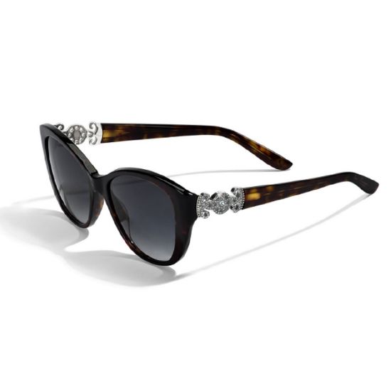 Picture of Brighton Illumina Sunglasses