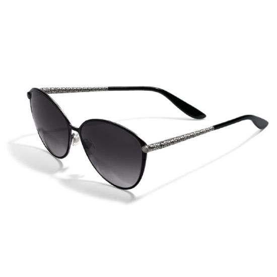 Picture of Brighton Ferrara Gatta Sunglasses