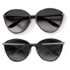 Picture of Brighton Ferrara Gatta Sunglasses