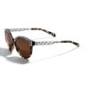 Picture of Brighton Sydney Sunglasses