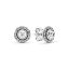 Picture of Pandora Brilliant Legacy Post Earrings