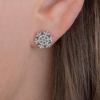 Picture of Pandora Snowflake Post Earrings