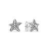 Picture of Pandora Tropical Starfish Post Earrings