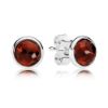 Picture of Pandora January Droplets Post Earrings