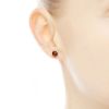 Picture of Pandora January Droplets Post Earrings