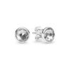 Picture of Pandora April Droplets Post Earrings