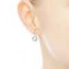 Picture of Pandora Luminous Droplets French Wire Earrings