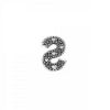 Picture of Pandora Letter S Petite Floating Charm